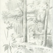 2007-pond-izmailovo3mb_card