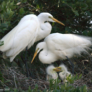 Img_2247_card