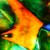 Febmar_042_tiny_square