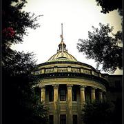 L_419f5152484d425ab2597edf21ed3a00_card