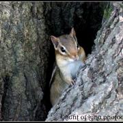 L_ab8e5a488a92414aa377efce9273fb9a_card