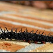 L_d038262cabc64e938bad657a388521ad_card