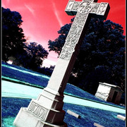 16_card