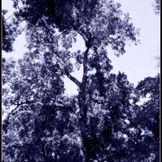 18__2__card