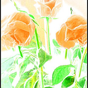 22_card