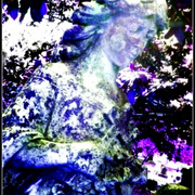 31_card