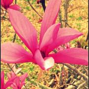 L_0571d313dc2f4719afb710e1544d624c_card