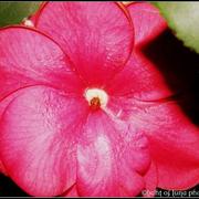 L_bdf147466f394590b4fffb5d6b71e0c7_card