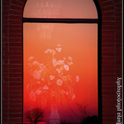 45_card