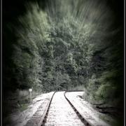 L_4a10245dfb344ed3b5de5279a2098697_card