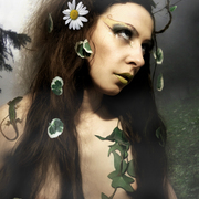 _dan6781_card
