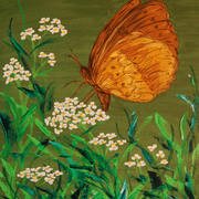 Butterfly_ar_card