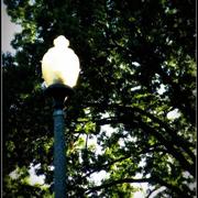 L_ec5059379c9247d38dcf33f6889af9d8_card