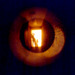 Spying_out_the_shadows-naked_us_you_come_2003_square