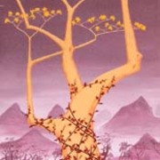 Yellowflowers2_card