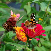 Dsc_2316_card