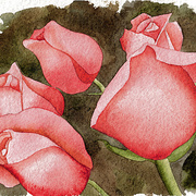 Roses_web_card