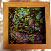 P1090415_card