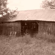 New_photos_september_15_2010_028_card