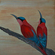 Beeeaters_card