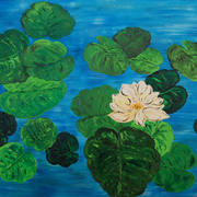 Lilypad_ar2_card