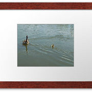 Framed_piece_of_my_artwork_card