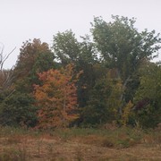 September_16_049_card