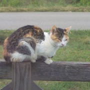 Sept_16_sight_seeing_001_card