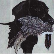 Black_lab_with_phesant_card