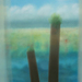 04_oljerazno_100x70_saatchi_square