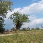Sept_16_sight_seeing_048_card