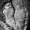 Img_1095_bw_thumb