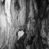 Litauen_5_thumb