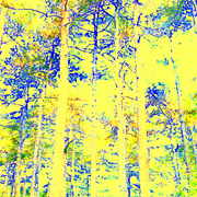 ______2426_card