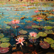 40_x_50_cm_-_nenufares_en_flor_iv_card