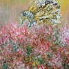 Metamorphosis_thumb