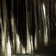 Waterfalls__card