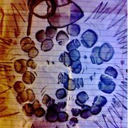 30849_131382126881093_131377236881582_295422_7043579_n_card