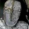 Portrait-web_thumb