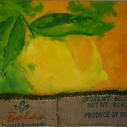 Grassy_lemon_2007_oil_sac_on_canvas_95x105cm_card