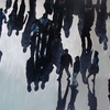 Shadowsdrip_thumb