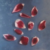 Tulpenblaadjes_thumb