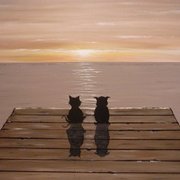 Owlandpussycat_card