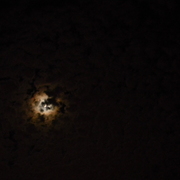 Moonoverbelmont1_card