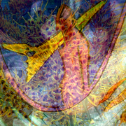 Dp1_card