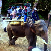 Kaziranga_015_card