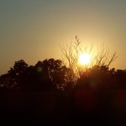 September_21_2010_027_card