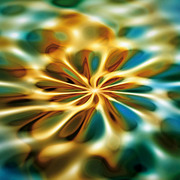 046_organic_1_card