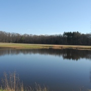 Landscape_card