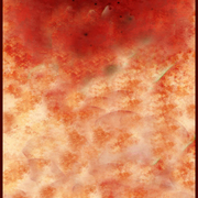 Apocalypse_card